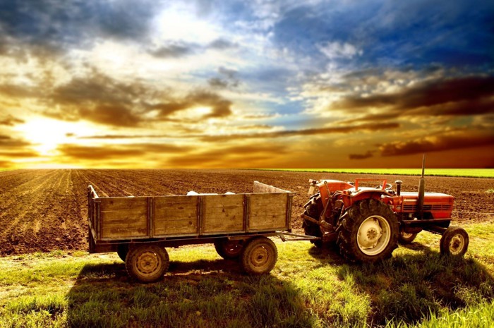 Townsville industrial batteries